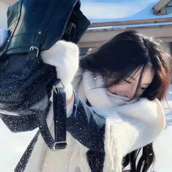 脂粉双雄粤语